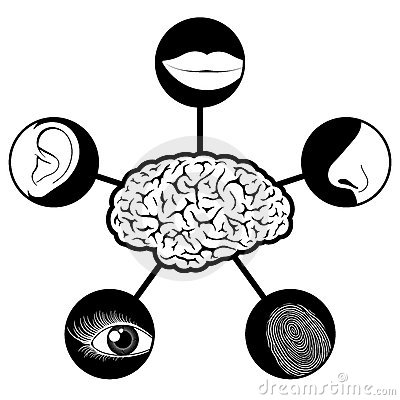 five-senses-icons-controlled-brain-15603058
